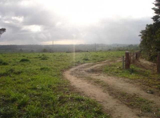 Realize seu sonho e adquira já sua propriedade rural ou urbana - Foto 3