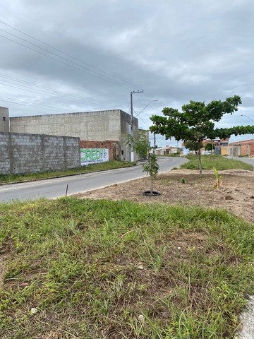 Terreno na avenida  do Albano Franco  - Foto 2