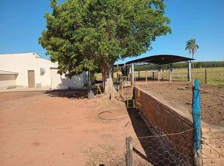 Sítio com 2 dormitórios à venda, 7,5 alqueires por R$ 1.800.000 - Zona Rural - Buritama/SP - Foto 4