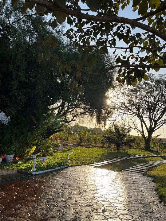 Chácara para locação  - Foto 15