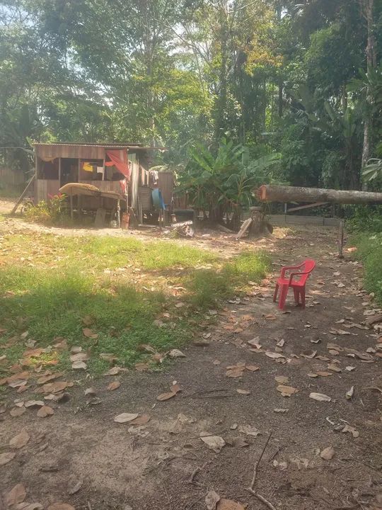 foto - Rio Branco - Belo Jardim II