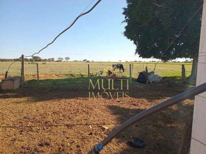 Sítio com 2 dormitórios à venda, 7,5 alqueires por R$ 1.800.000 - Zona Rural - Buritama/SP
