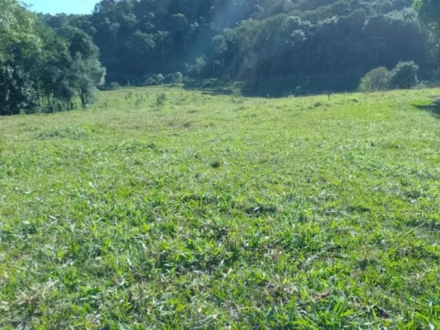 foto - Bragança Paulista - Boa Vista dos Silva