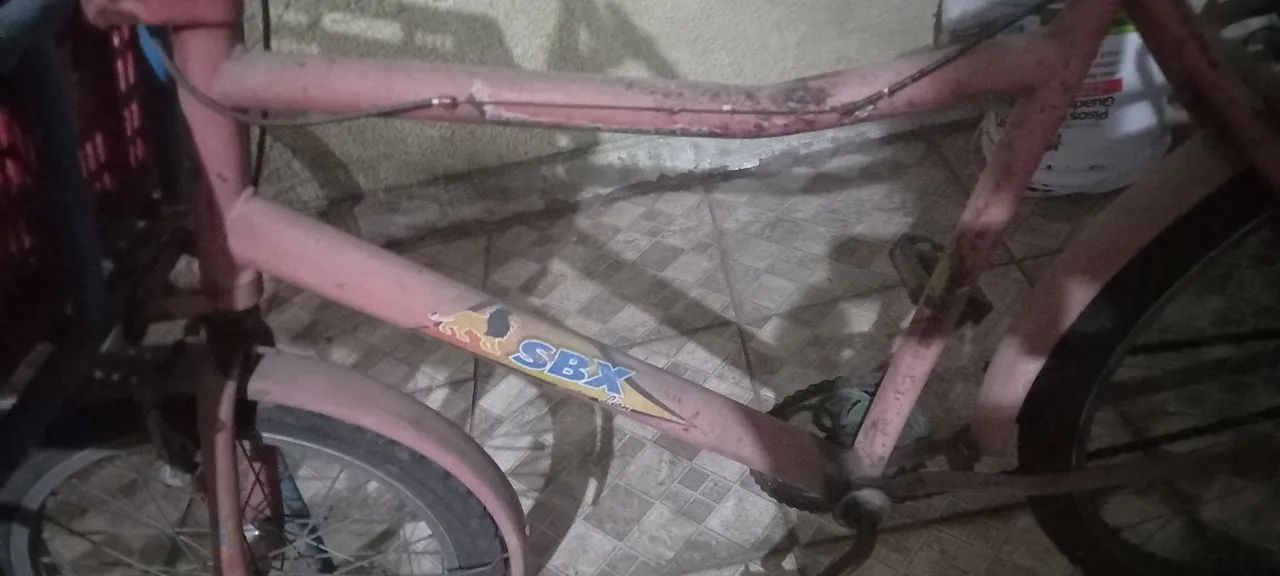 Bicicleta de Carga - Ideal para Entregas - Foto 2