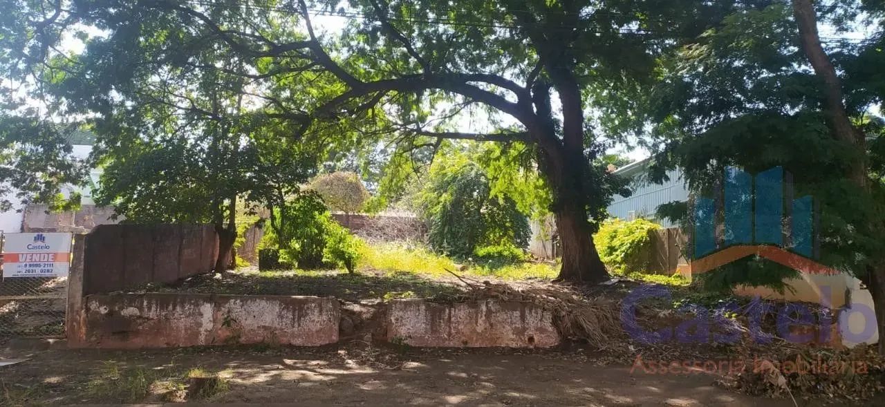 Terreno para Venda em Umuarama / PR no bairro Zona II - Foto 2
