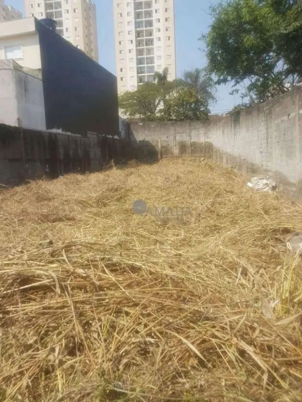 Terreno à venda, 294 m² por R$ 2.400.000,00 - Vila Mafra - São Paulo/SP - Foto 4