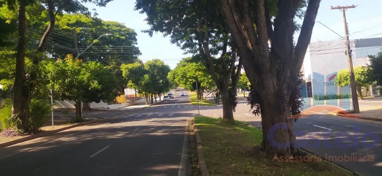 Terreno para Venda em Umuarama / PR no bairro Zona II - Foto 3