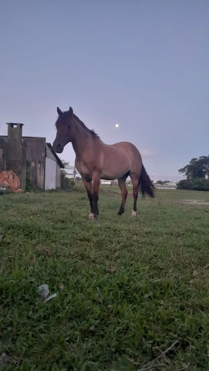 Vendo ou troco - Foto 6