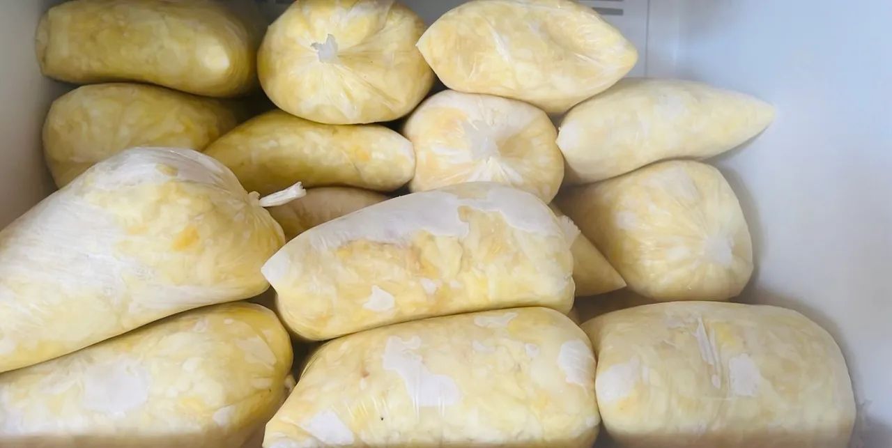 Polpa de fruta Cupuaçu 