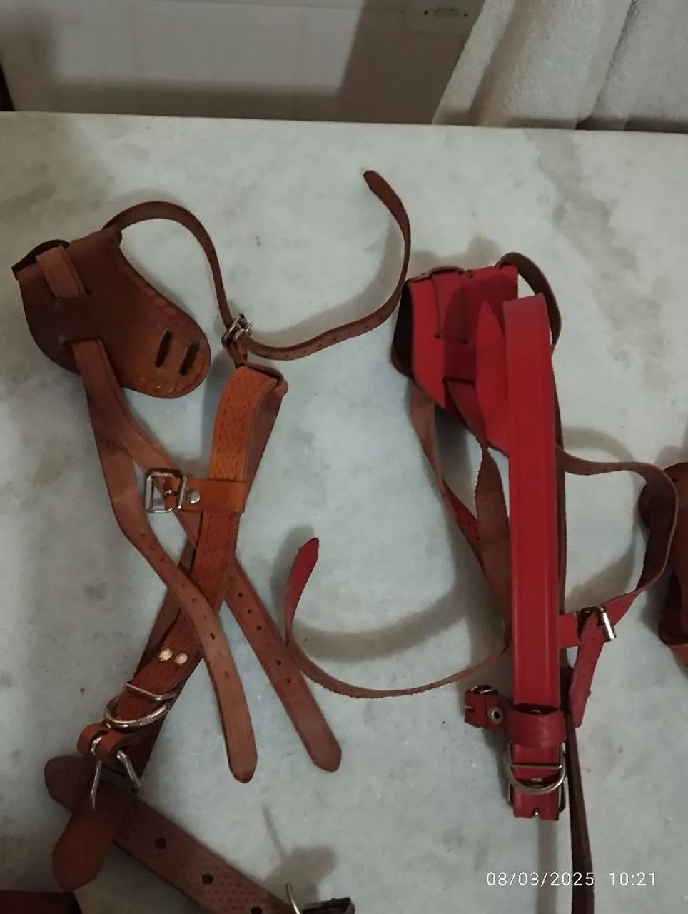 Acessórios para cães -Novo