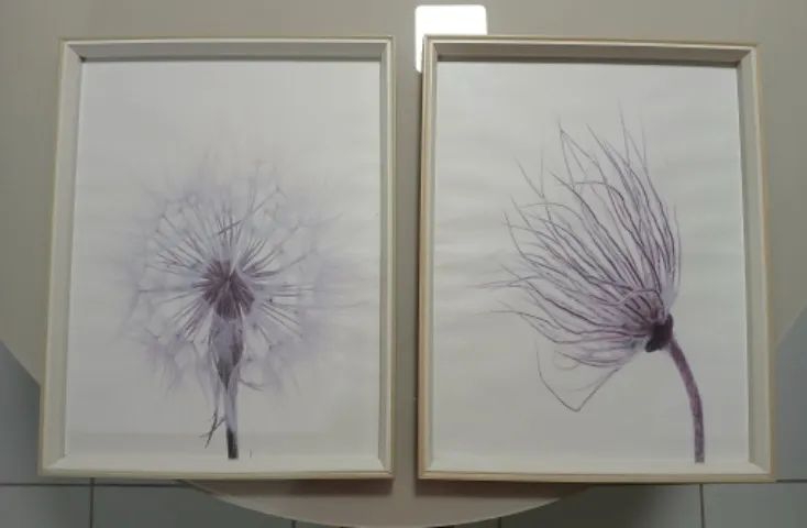 Quadros Decorativos 