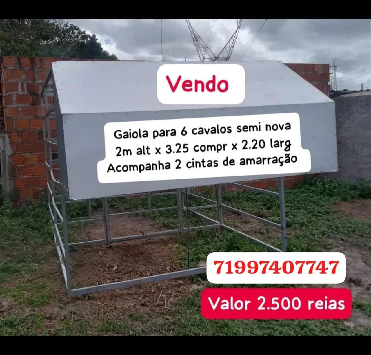 Gaiola para 6 cavalos semi nova