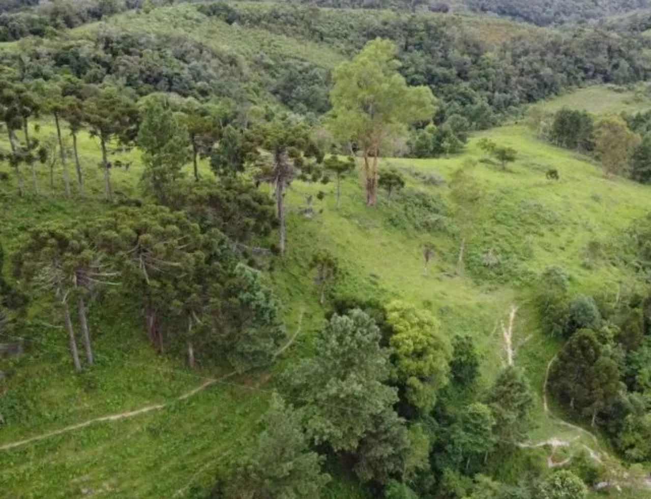 Terreno 3 hectares Bom Retiro/SC (OPORTUNIDADE)  - Foto 5