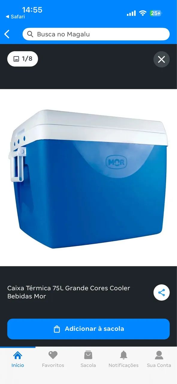 Caixa Térmica 75L - Mor64960457434881121