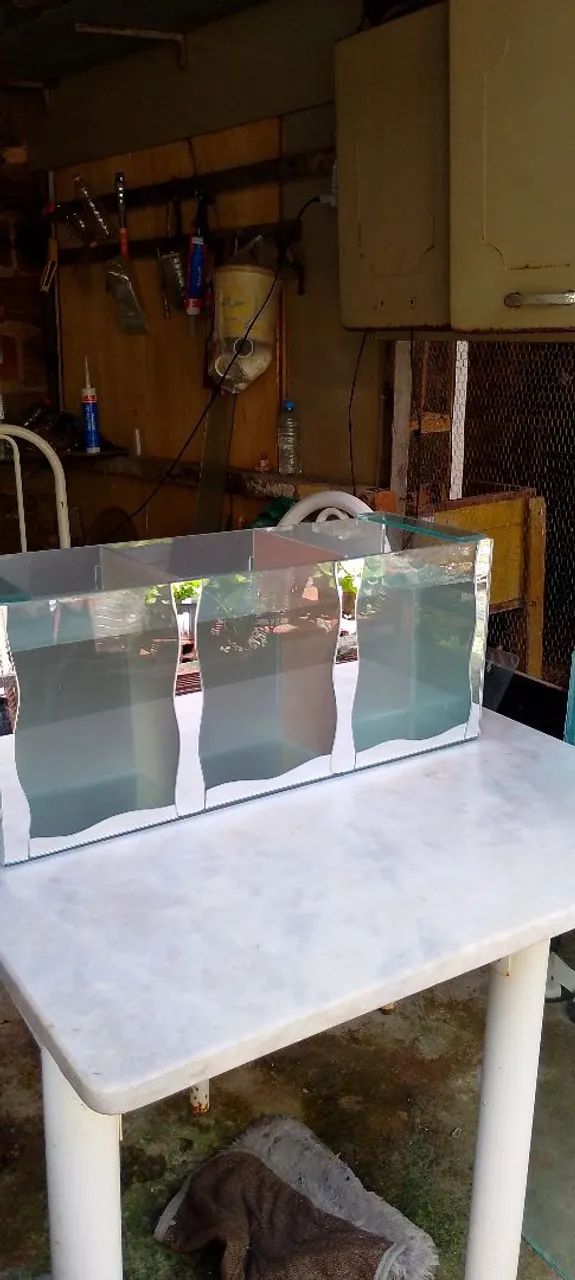 Aquário de vidro 3 compartimentos - Foto 5