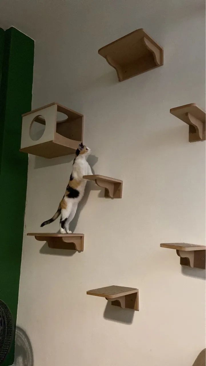Kit de prateleiras para gatos playground gatificação 10 peças - Foto 2