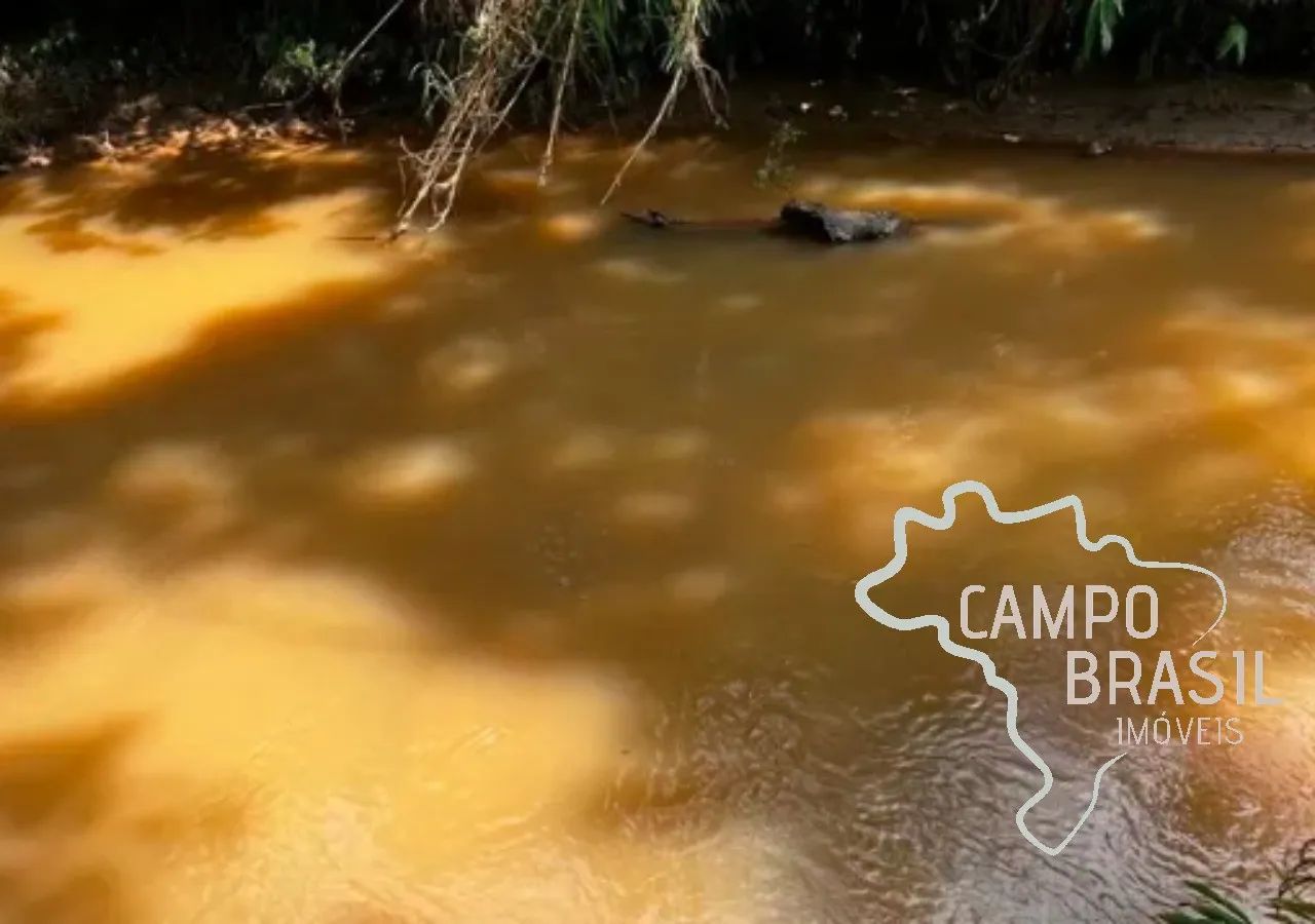 ÁREA RURAL 22.500M² COM CACHOEIRA EM JAMBEIRO ! - Foto 3