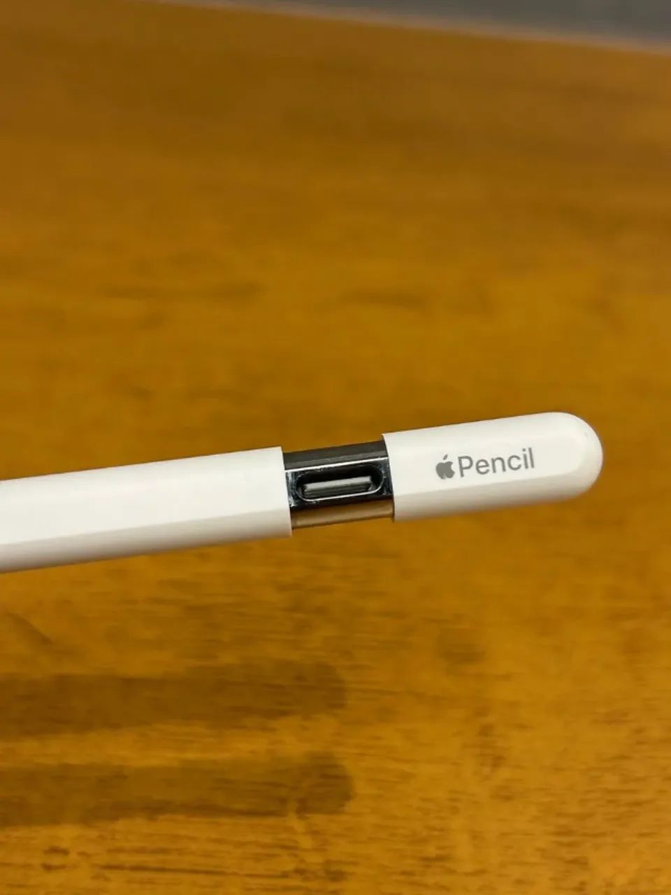 Apple Pencil usb-c A3085 (ipad pro, 10, air) - original - brinde