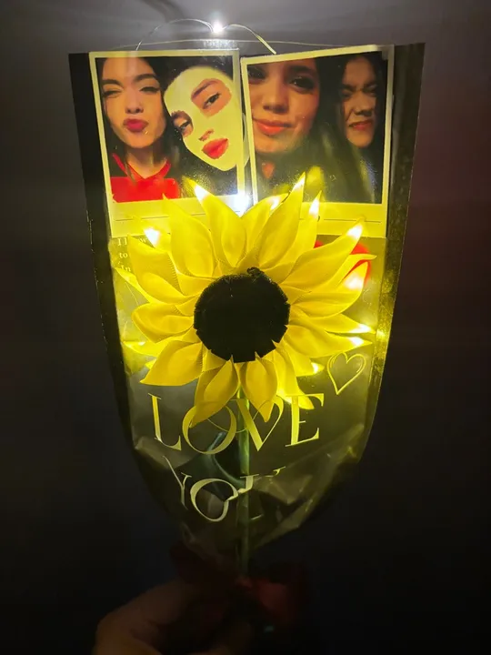 Girassol com LED e fotos
