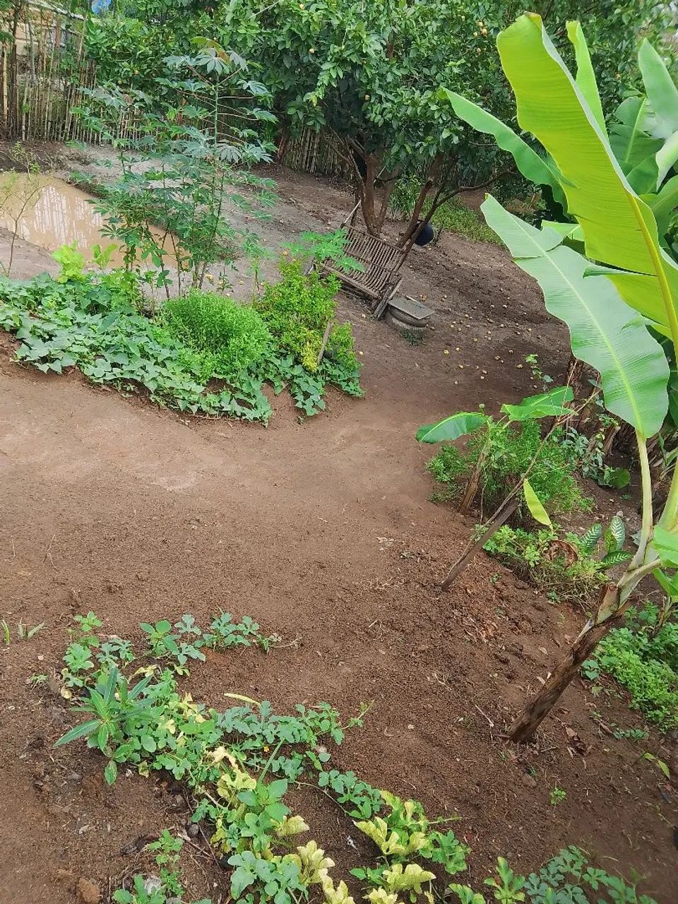 Chacrinha mil metros  - Foto 5