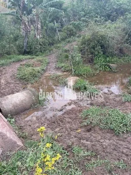 Barrozo Imóveis - Sítio a venda com 2.02 alq (9.8 ha) com córrego, nascente, pasto. - Foto 4