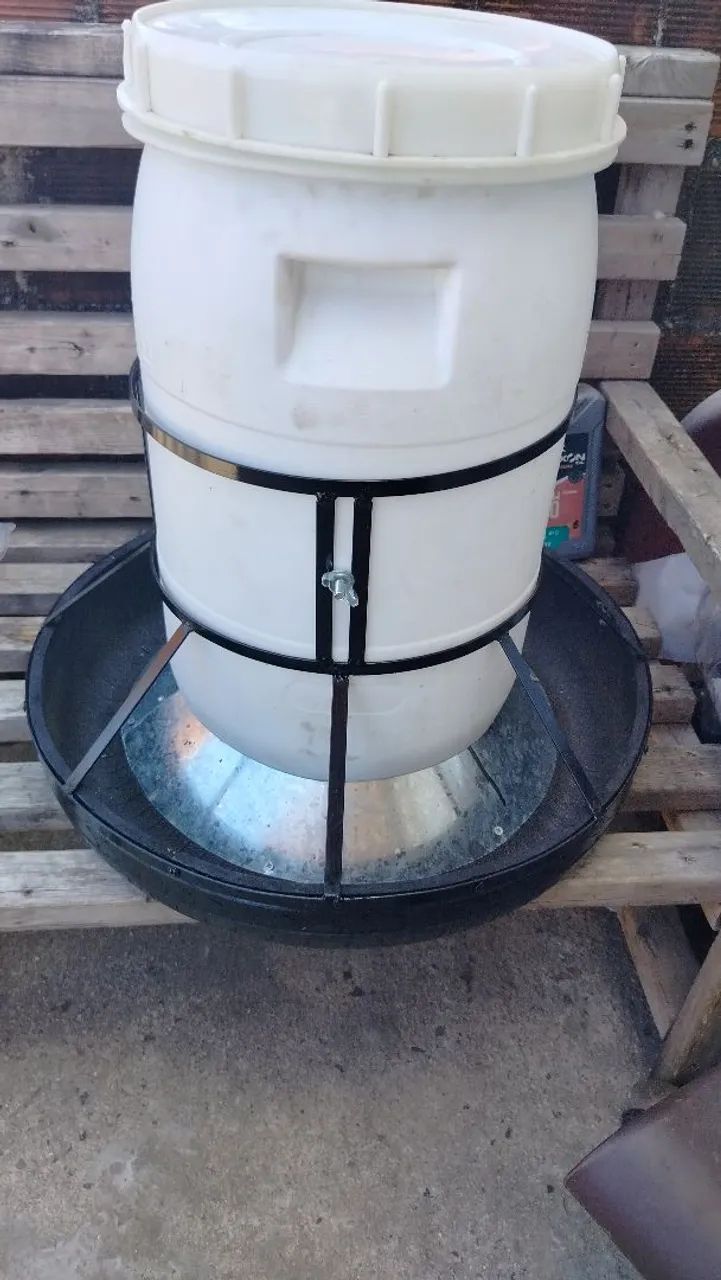 Comedouro para suinos 