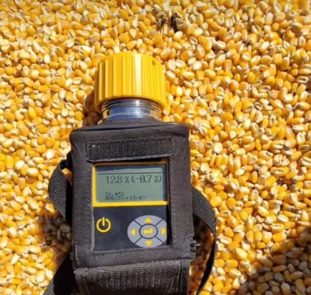 Venda de Milho em Grãos e Rações Direto da Fazenda ao norte do Mato Grosso - Foto 6