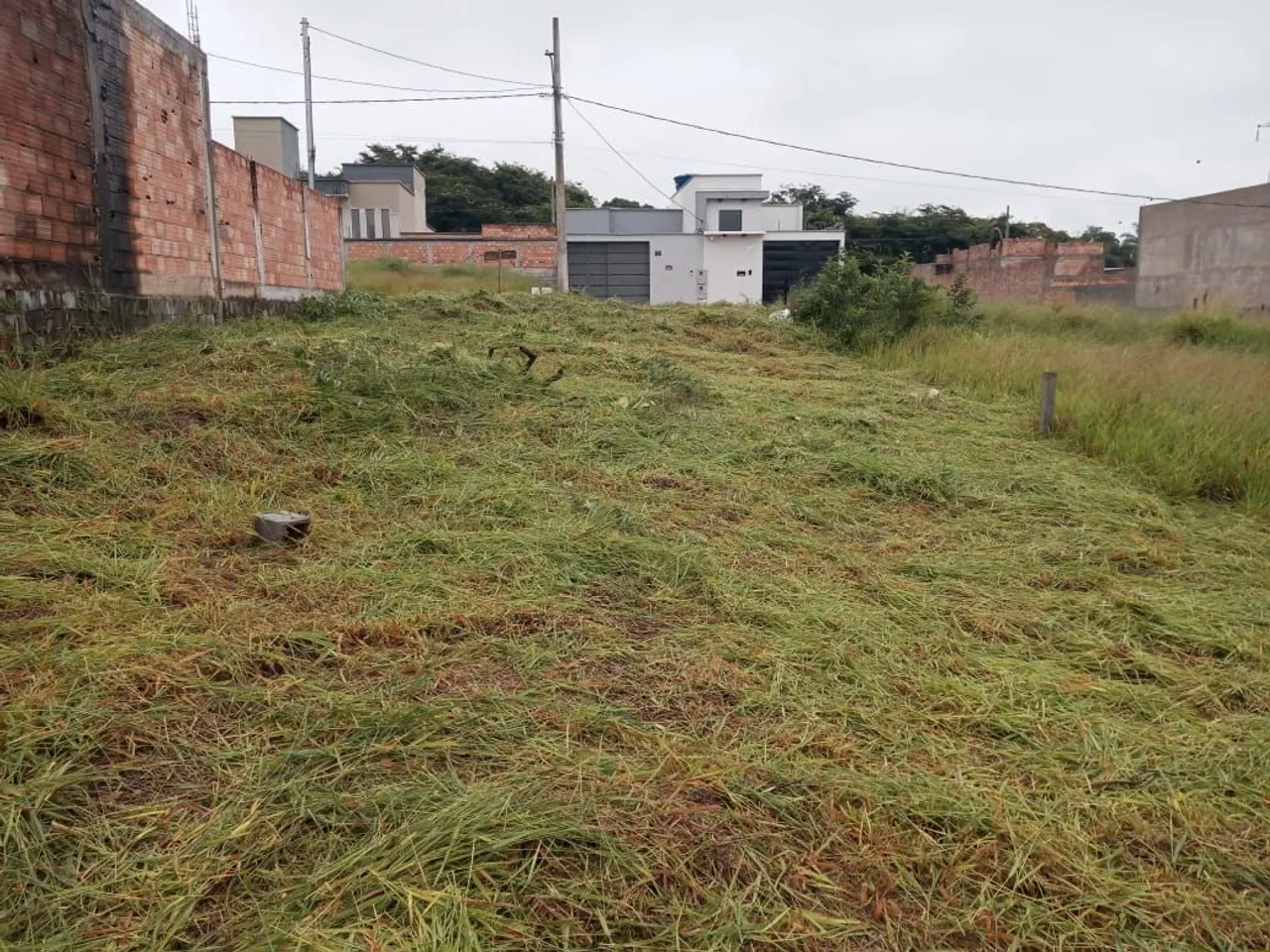 Lote Novo Horizonte