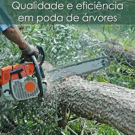Poda e corte de árvores em geral 