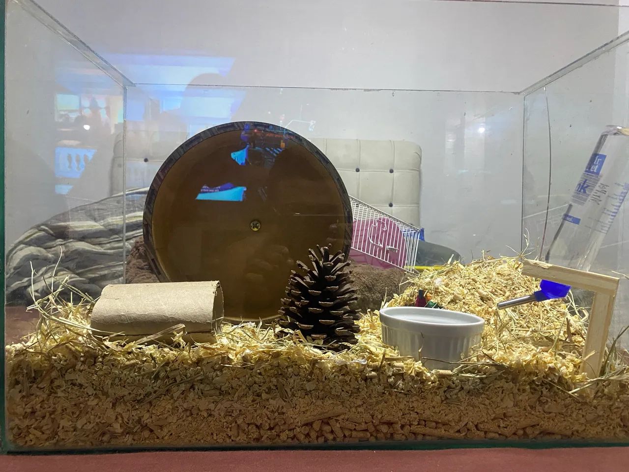 Gaiola para roedores completa com comida e bebedouro - Foto 2