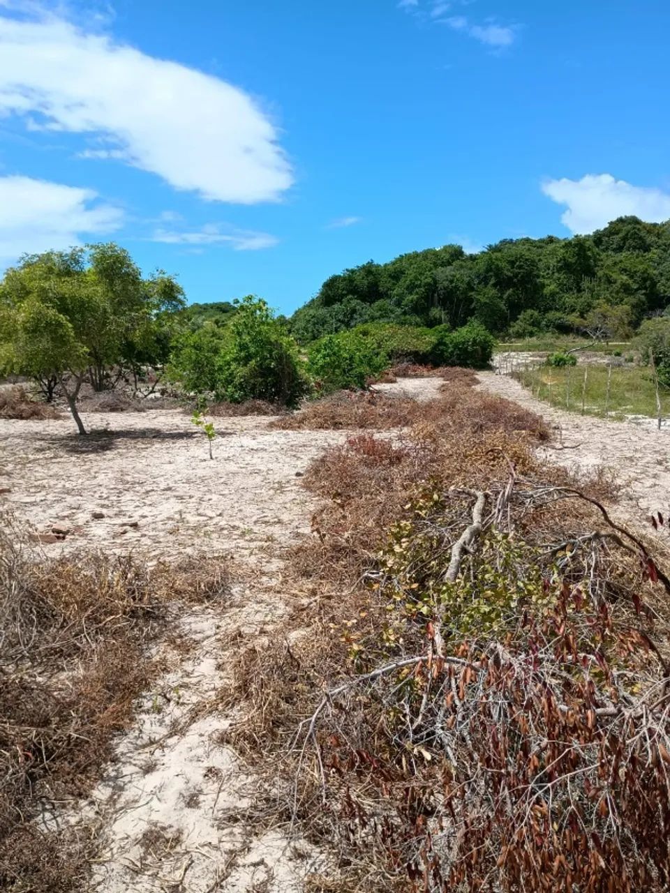 Lote / Terreno Povoado Jatobá - Chácara - Foto 2