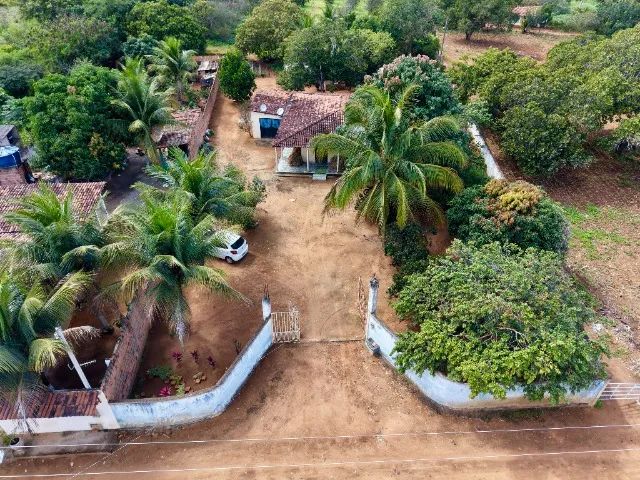 Sítio com casa e fruteiras próximo à Serra das Pias em Palmeira dos Índios - Foto 4