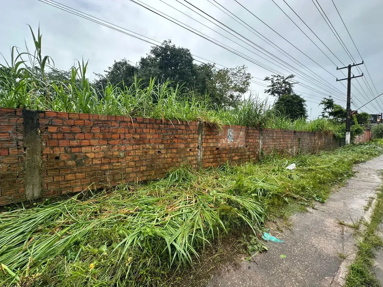 TERRENO COM 5 MIL METROS NO TAPANA. - Foto 3