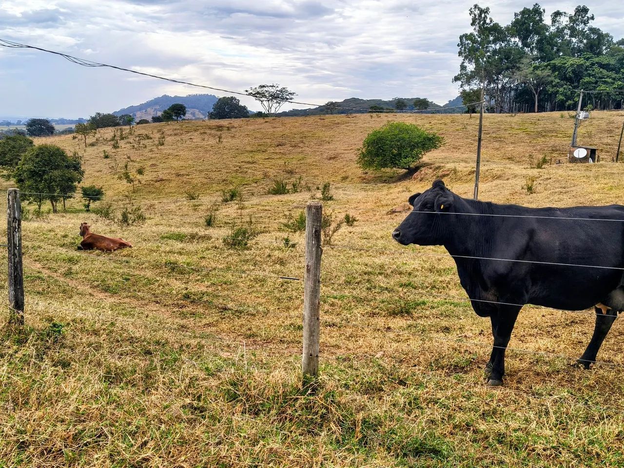 Fazenda Extra 34 alqueires! - Foto 5