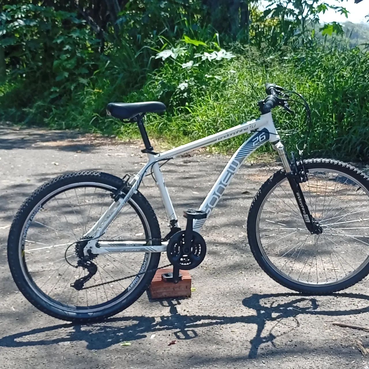 Bicicleta Gonew Endorphine 5.1 - Foto 3