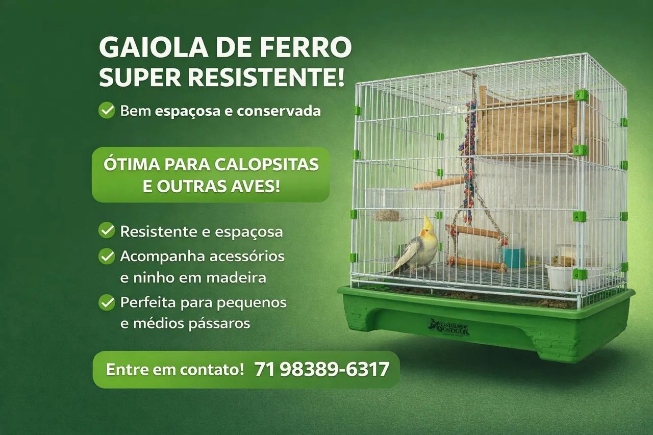 Gaiola para calopisita 