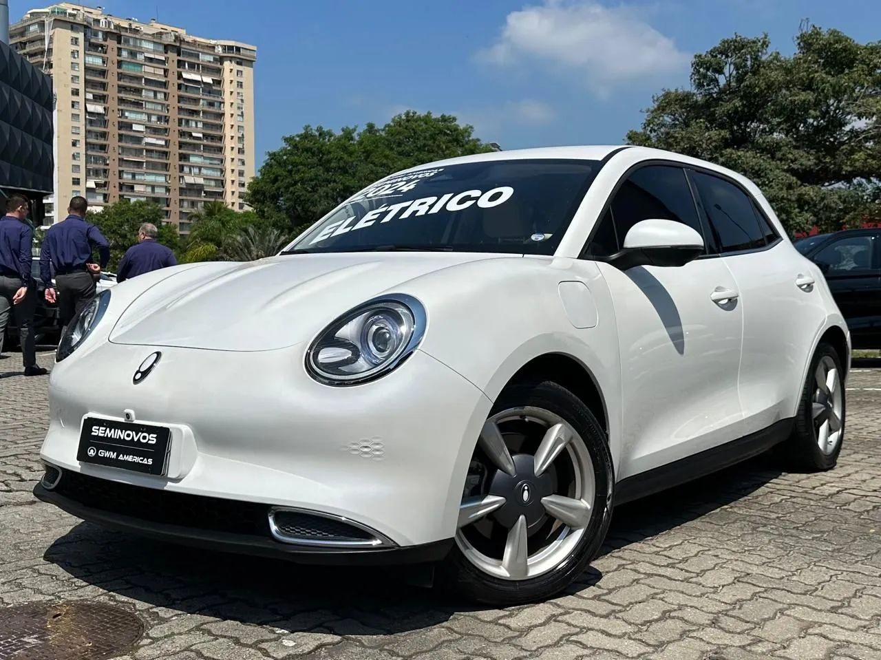 GWM Ora 03 SKIN (ELÉTRICO) 2024