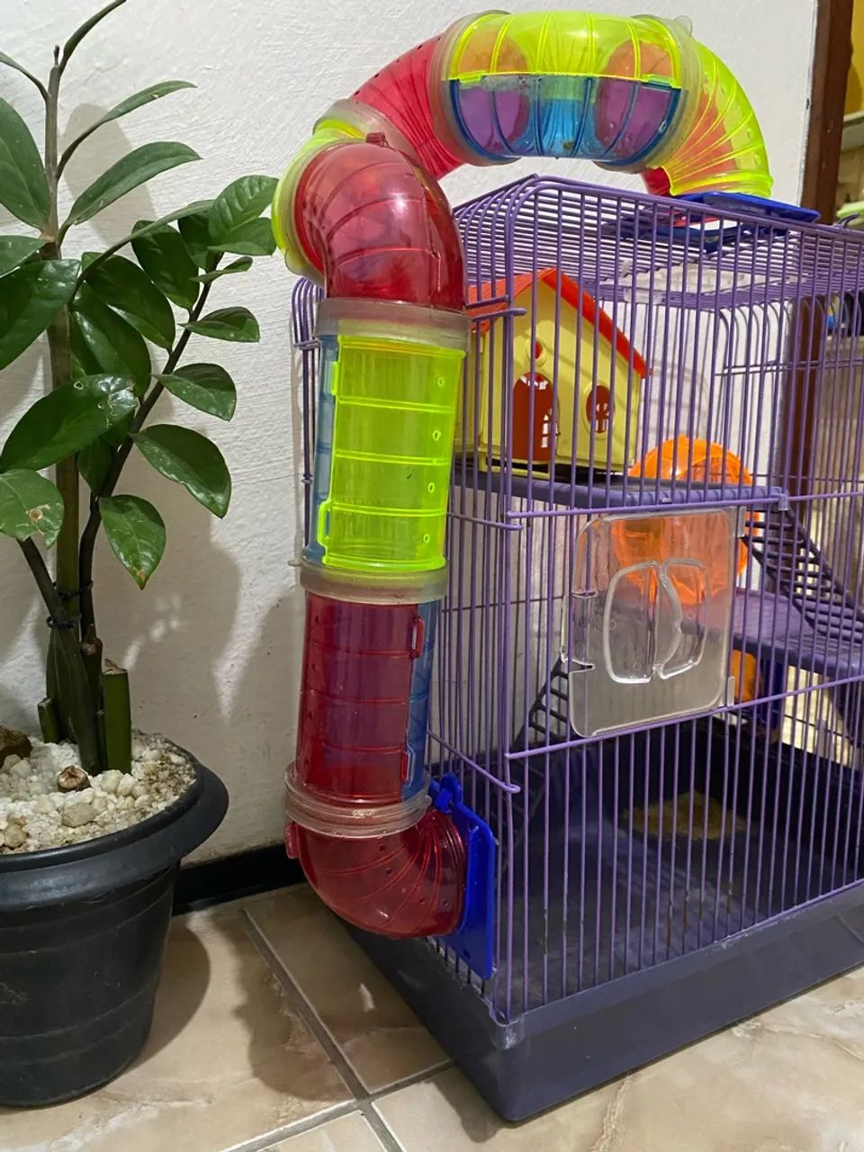 Gaiola hamster completa  - Foto 2