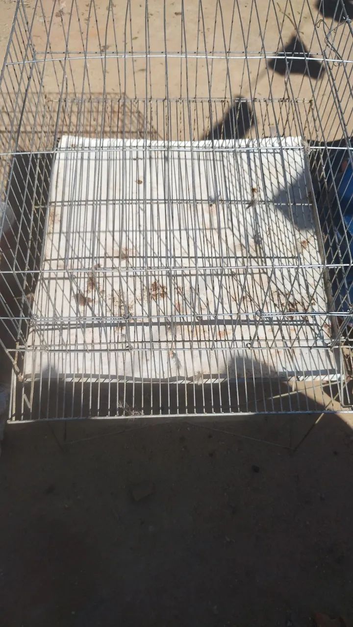 Vende se codorna  - Foto 3