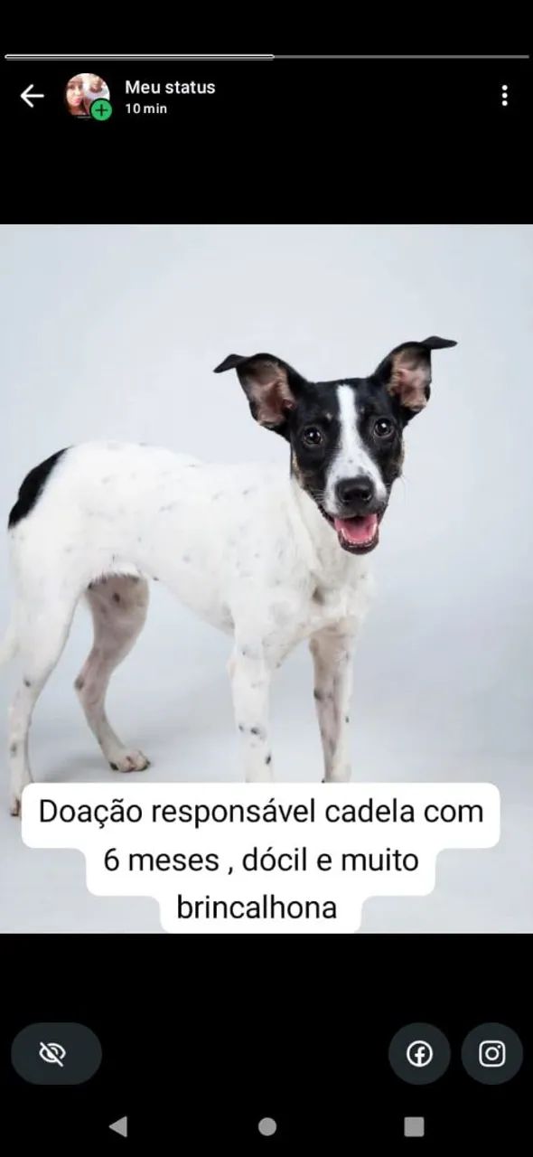 Doação 