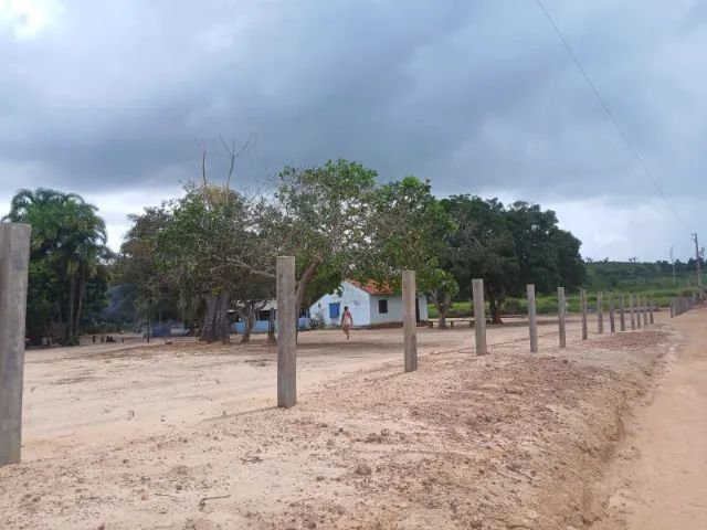 Terra pra sair logo - Foto 4