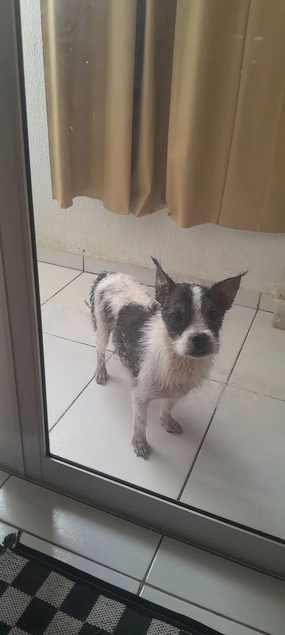 Doação 
