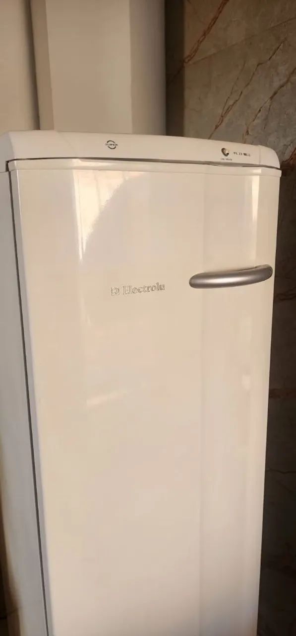 Freezer Vertical Electrolux FE 22