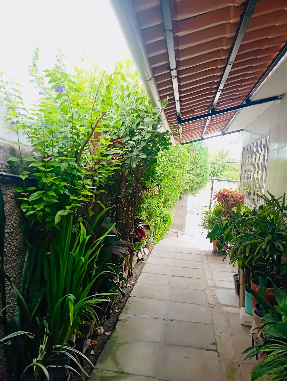 Foto - Paulista - Nossa Senhora da Conceição