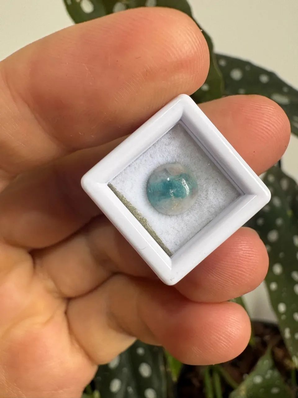 Turmalina Paraíba cabochão 