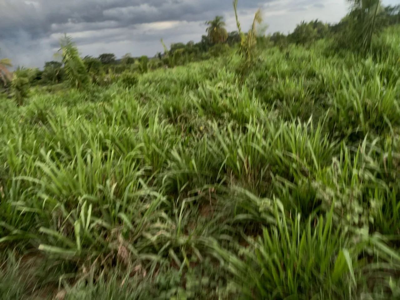 Fazenda São Cristóvão 02 - Foto 6