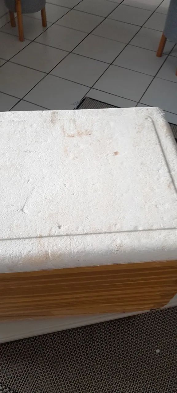 Caixa de isopor grande  - Foto 4