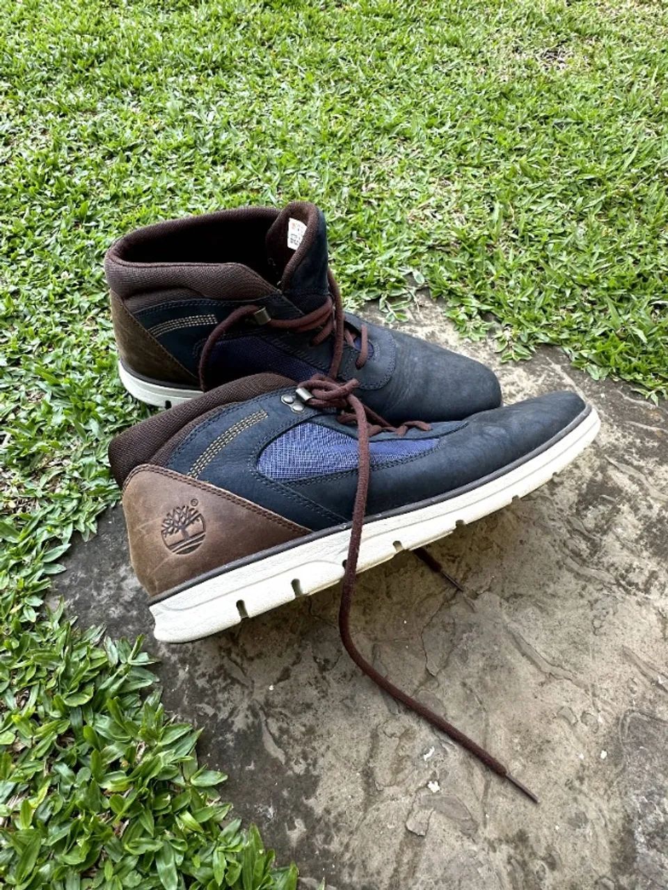 Bota / Sneakers Timberland