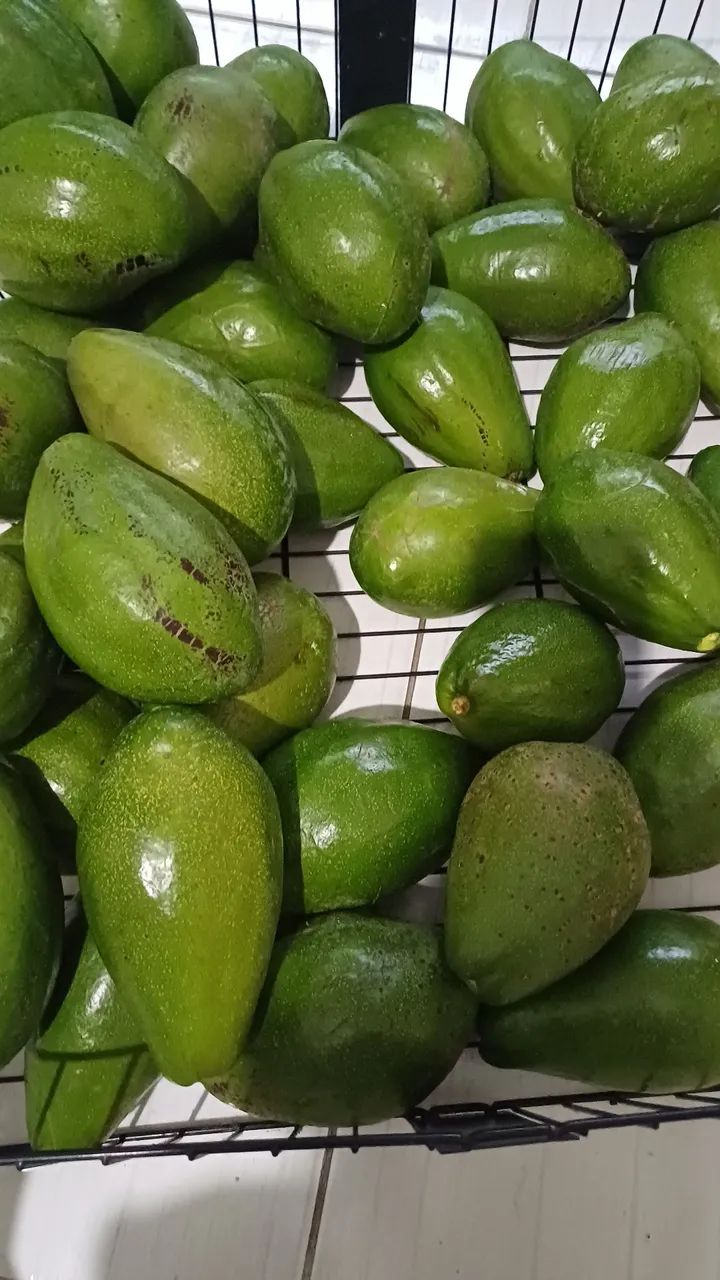 Abacates preço promocional 
