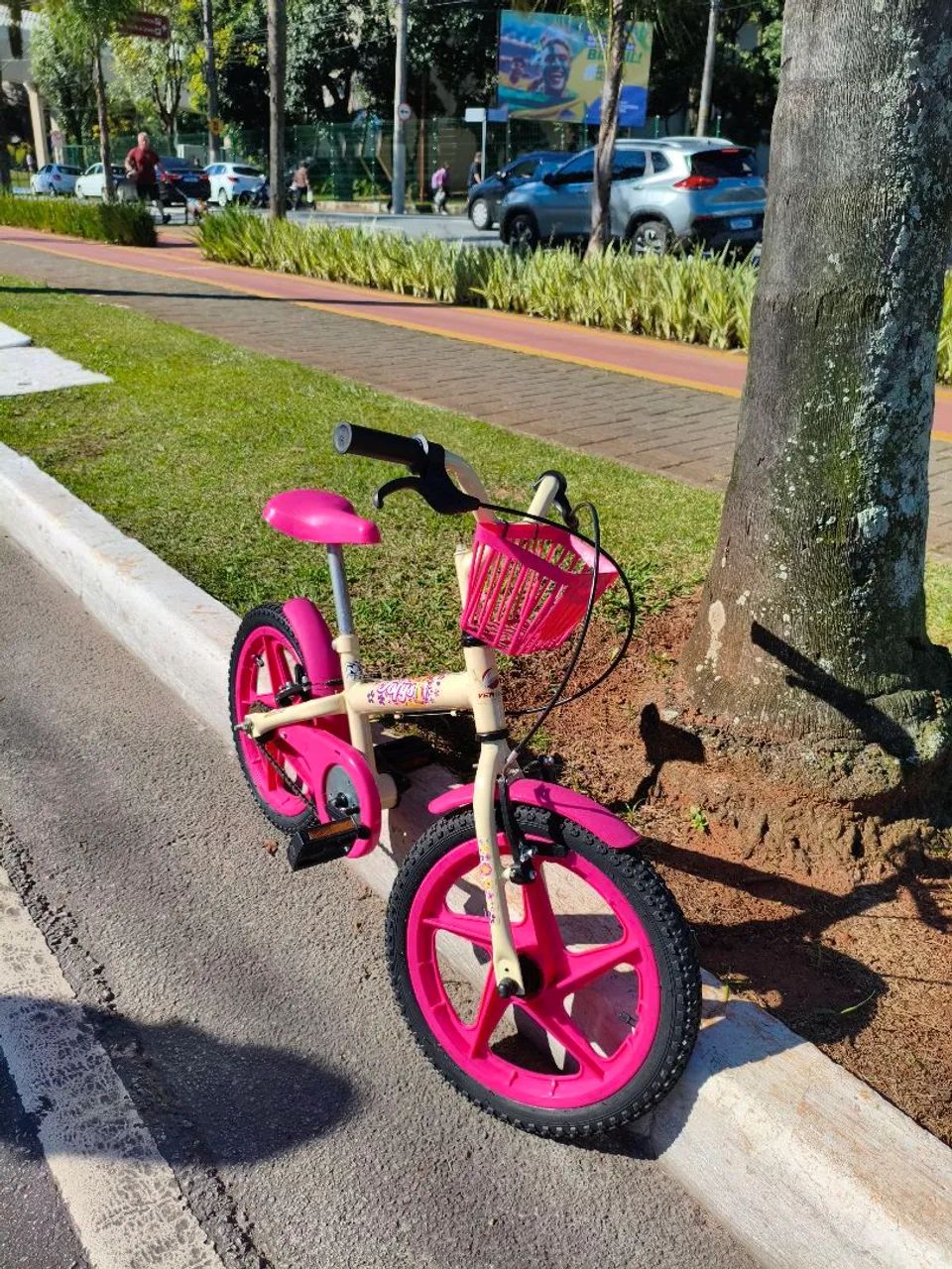 Bicicleta Infantil Menina